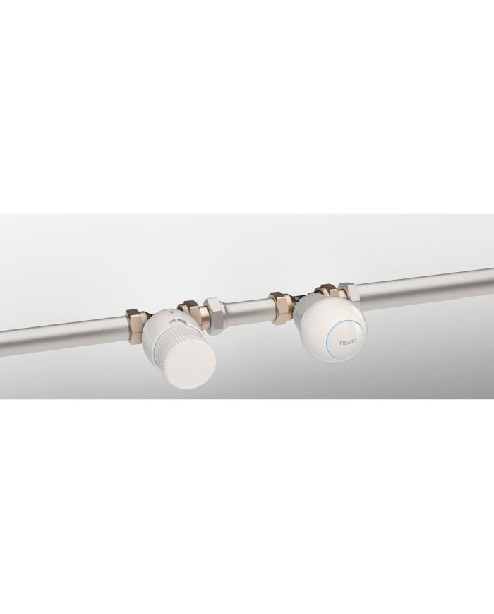 Presa Intelligente Fibaro FGT-001 ZW5 EU Presa Intelligente Fibaro FGT-001 ZW5 EU