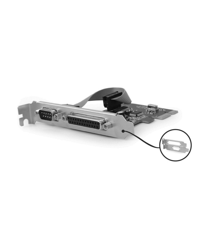 Scheda PCI GEMBIRD PEX-COMLPT-01