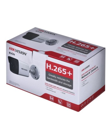 Videocamera di Sorveglianza Hikvision DS-2CD1041G0-I/PL