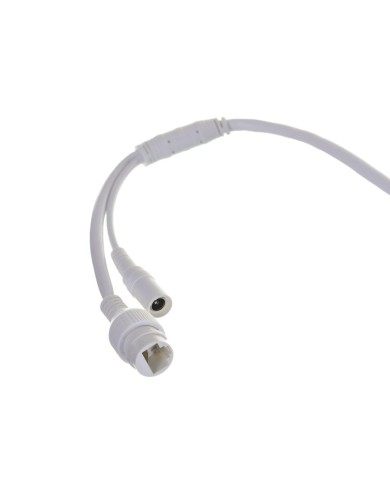 Videocamera di Sorveglianza Hikvision DS-2CD1041G0-I/PL