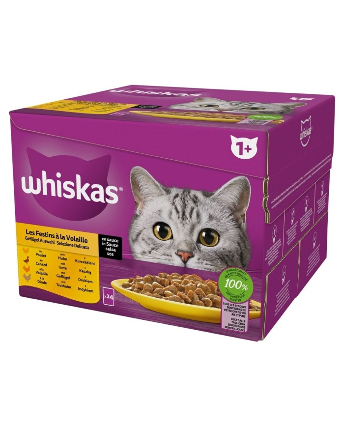 Cibo per gatti Whiskas Poultry Feast Pollo Tacchino Anatra Uccelli 24 x 85 g Cibo per gatti Whiskas Poultry Feast Pollo Tacchino Anatra Uccelli 24 x 85 g
