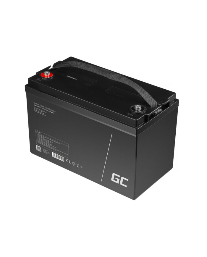 Batteria per Gruppo di Continuità UPS Green Cell AGM30 100 Ah 12 V