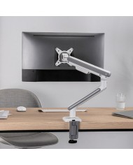 Supporto da Tavolo per Schermo Ergo Office ER-751 17"