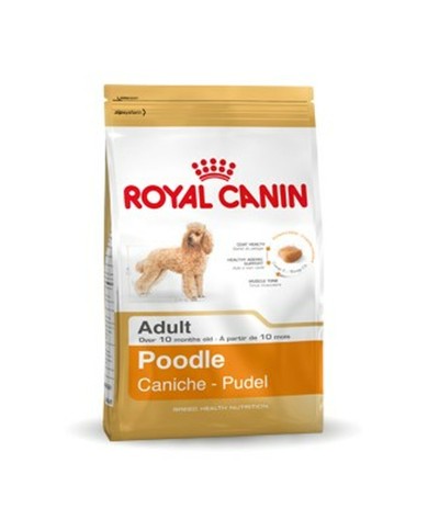 mangime Royal Canin Poodle Adult Adulto Pollo 1,5 Kg mangime Royal Canin Poodle Adult Adulto Pollo 1,5 Kg