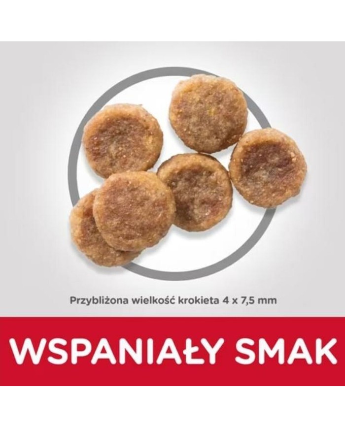 Io penso Hill's Science Plan Adult small&mini Chicken Pollo 1,5 Kg Io penso Hill's Science Plan Adult small&mini Chicken Pollo 1,5 Kg