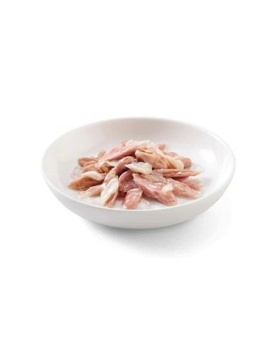 Cibo per gatti SCHESIR Pesce 85 g