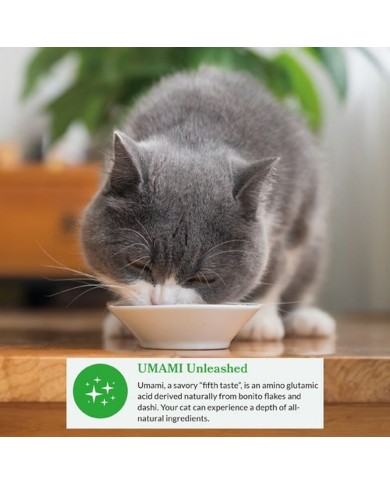 Spuntino per Cat Inaba Dashi Delights Pollo 70 g