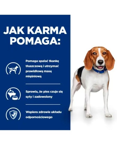 Cibo umido Hill's Carne