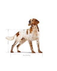 mangime Royal Canin Uccelli 12 kg mangime Royal Canin Uccelli 12 kg