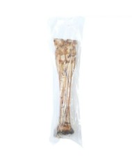 Snack per Cani Zolux dried pig ear Carne di manzo e vitello 600 g