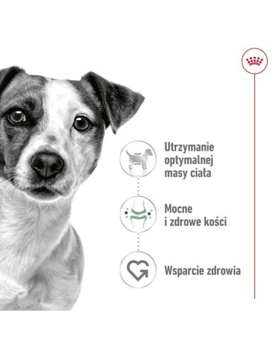 mangime Royal Canin Adult Mini S Uccelli 8 kg