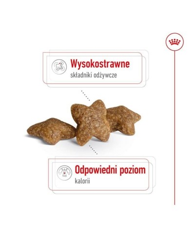 mangime Royal Canin Adult Mini S Uccelli 8 kg mangime Royal Canin Adult Mini S Uccelli 8 kg