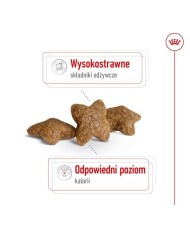 mangime Royal Canin Adult Mini S Uccelli 8 kg mangime Royal Canin Adult Mini S Uccelli 8 kg