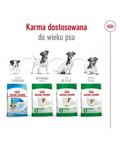 mangime Royal Canin Adult Mini S Uccelli 8 kg mangime Royal Canin Adult Mini S Uccelli 8 kg