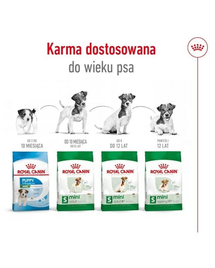 mangime Royal Canin Adult Mini S Uccelli 8 kg mangime Royal Canin Adult Mini S Uccelli 8 kg