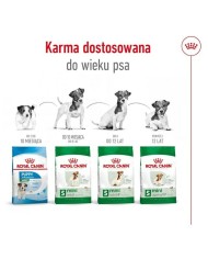 mangime Royal Canin Adult Mini S Uccelli 8 kg mangime Royal Canin Adult Mini S Uccelli 8 kg