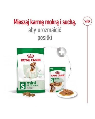 mangime Royal Canin Adult Mini S Uccelli 8 kg mangime Royal Canin Adult Mini S Uccelli 8 kg