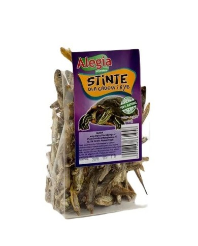 Snacks Alegia Stinte Snacks Alegia Stinte