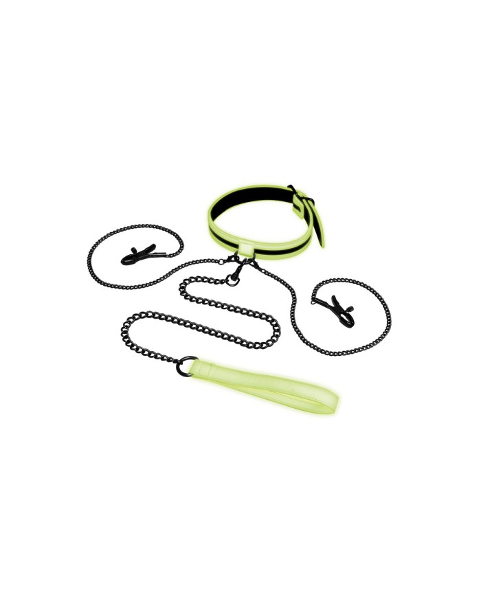 Kit Piacere Grande Whipsmart