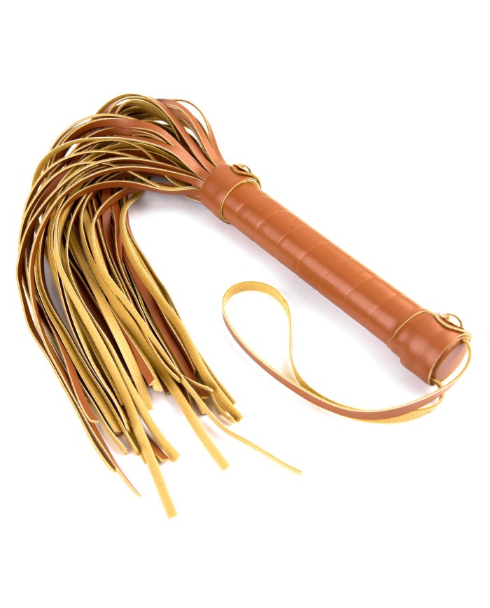 Frustino Dream Toys Blaze