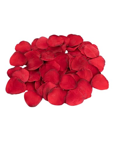 Gioco Erotico Dream Toys