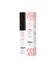 Lip Gloss Sesso Orale Exsens Lip Gloss Sesso Orale Exsens