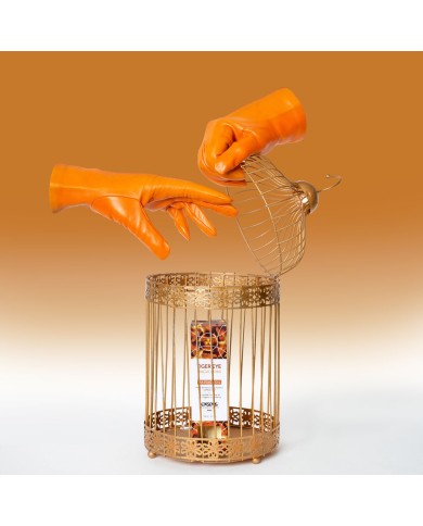 Olio per Massaggio Erotico Exsens