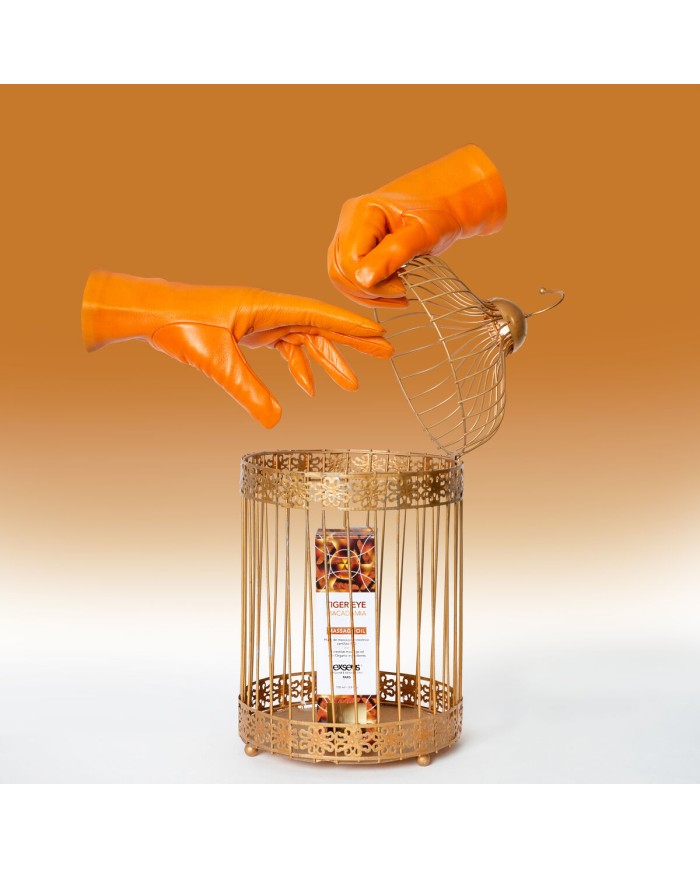 Olio per Massaggio Erotico Exsens Olio per Massaggio Erotico Exsens