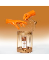 Olio per Massaggio Erotico Exsens Olio per Massaggio Erotico Exsens