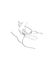 Massaggiatore Shunga Zoa Rosa Rosa chiaro