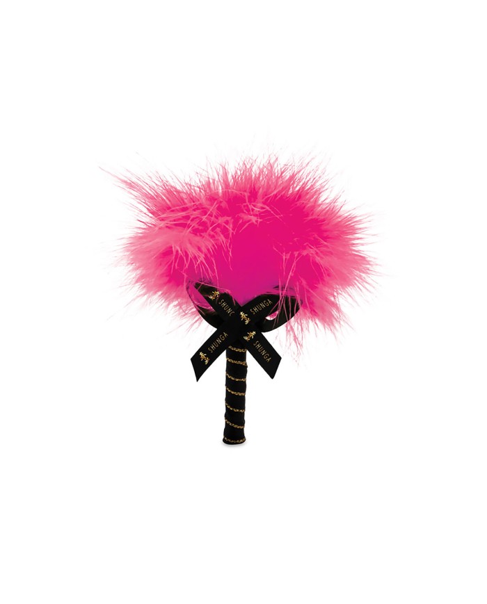 Polveri commestibili Shunga Polveri commestibili Shunga