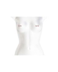 Pinze per Capezzoli NS Novelties Bound