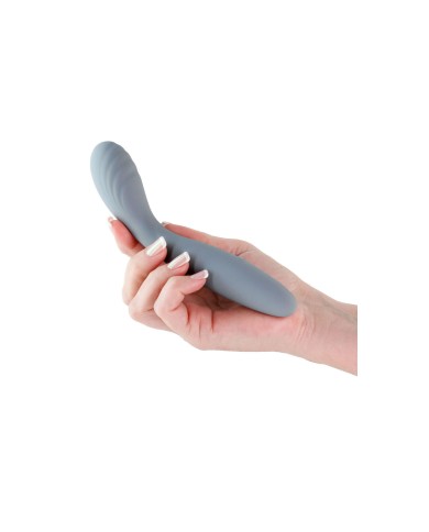 Vibratore per il Punto-G NS Novelties Desire Azzurro Grigio Vibratore per il Punto-G NS Novelties Desire Azzurro Grigio