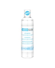 Lubrificante Waterglide Cioccolato 300 ml Lubrificante Waterglide Cioccolato 300 ml