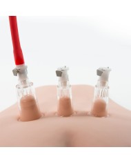 Ventosa per il Clitoride Blush Temptasia Nero