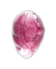 Succhia Clitoride Satisfyer Cloud Dancer Rosso Succhia Clitoride Satisfyer Cloud Dancer Rosso