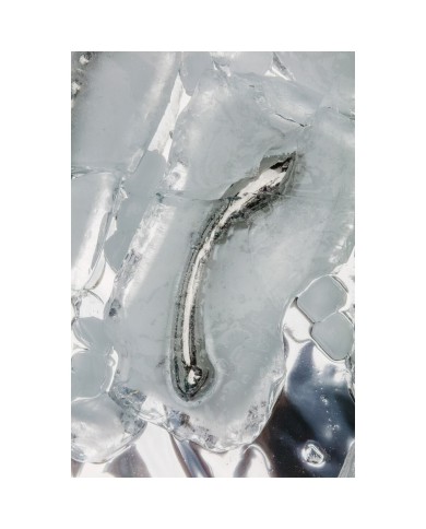 Dildo Le Wand Arch Argentato Dildo Le Wand Arch Argentato