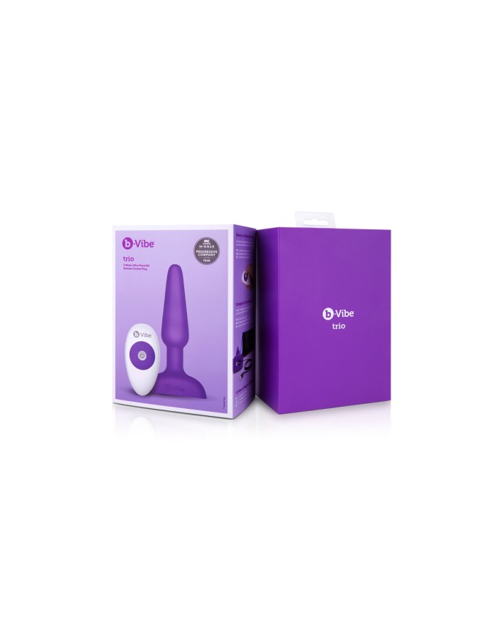 Plug anale con telecomando B-Vibe 05882530000 Viola