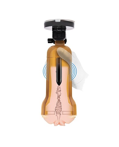 Jack Ass Endurance Zolo Dorato