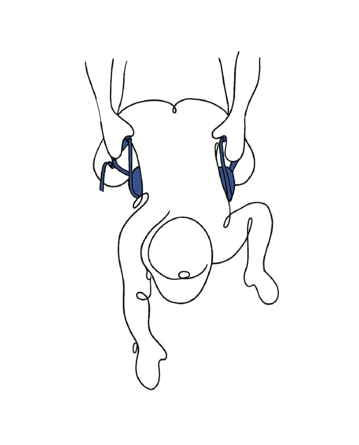 Kit di Corda Regolabile per Bondage Sportsheets Pivot