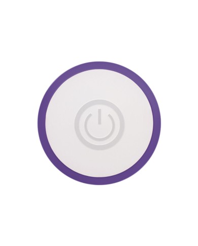 Mini Vibratore Evolved Slim Viola