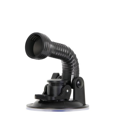 Jack Ass Endurance Zero Tolerance Zero Tolerance Nero Jack Ass Endurance Zero Tolerance Zero Tolerance Nero