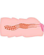 Jack Ass Endurance Zero Tolerance Zero Tolerance Carne