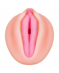 Jack Ass Endurance Zero Tolerance Zero Tolerance Carne Jack Ass Endurance Zero Tolerance Zero Tolerance Carne