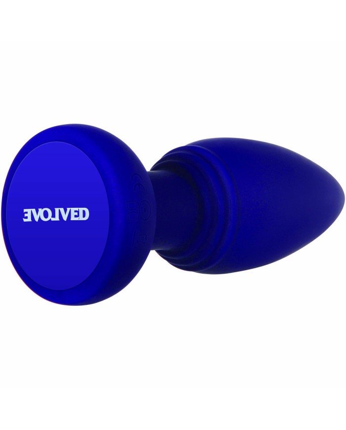 Plug Anale Evolved Viola