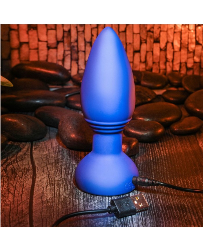 Plug Anale Evolved Viola