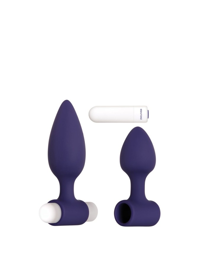 Plug Anale Evolved Dynamic Duo Viola