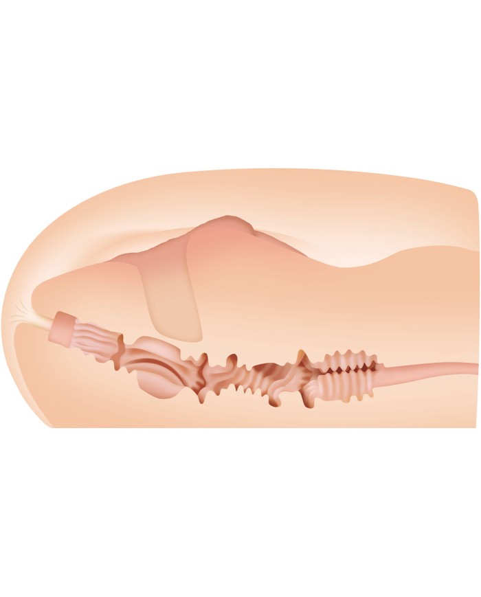 Jack Ass Endurance Zero Tolerance Zero Tolerance Carne Jack Ass Endurance Zero Tolerance Zero Tolerance Carne