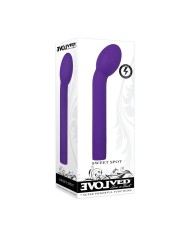 Vibratore per il Punto-G Evolved Viola Vibratore per il Punto-G Evolved Viola