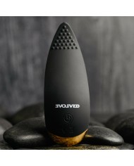 Massaggiatore Evolved Nero Massaggiatore Evolved Nero